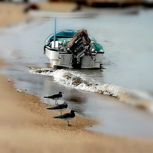 viaggi su misura